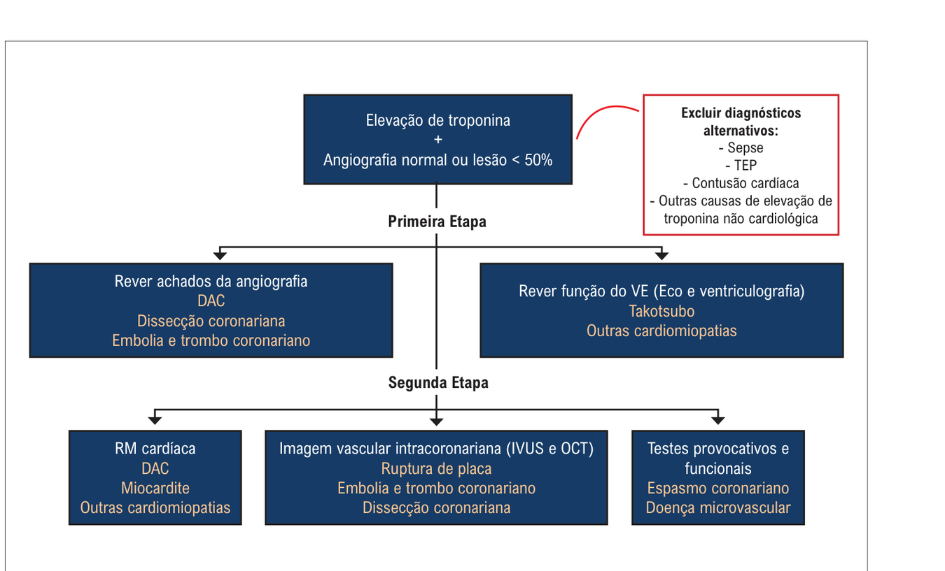 Figura 15: fluxograma de investigação de TINOCA/MINOCA