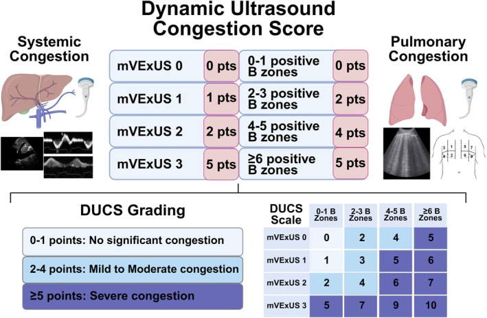 Composição do escore DUCS — LUS + mVExUS