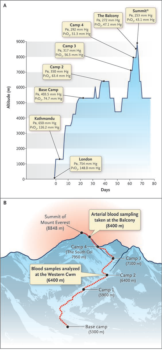 Figura 1 — Pressão barométrica e PiO2 vs altitude