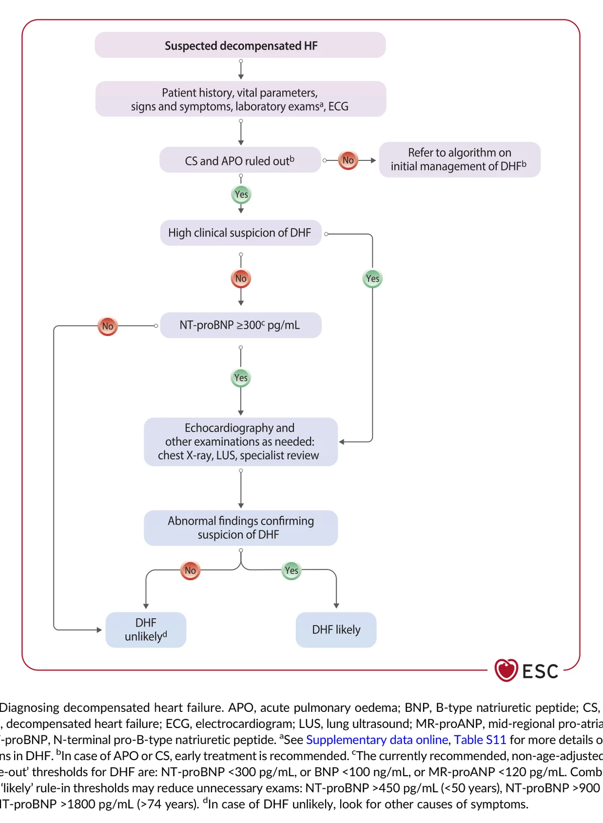 Fig. 11 — Diagnóstico da IC descompensada (ESC 2026)