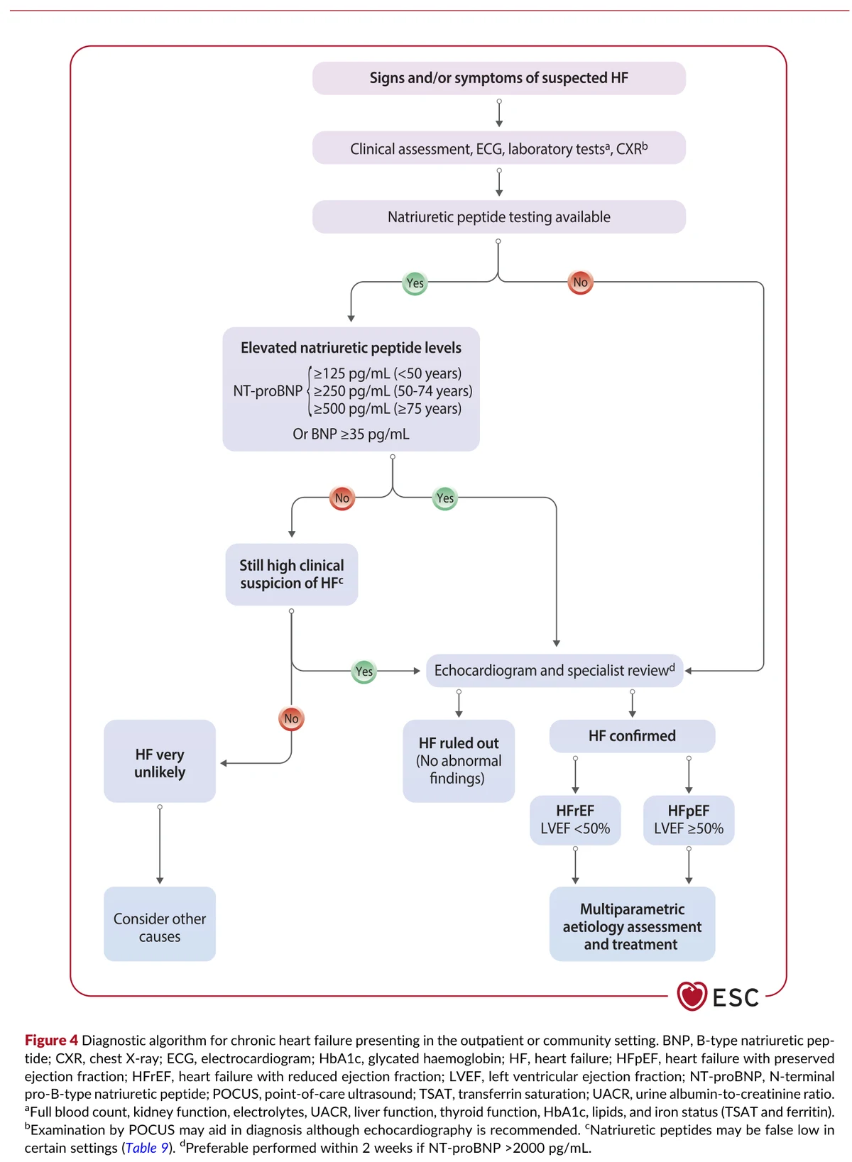 Fig. 4 — Algoritmo diagnóstico da IC crônica (ESC 2026)