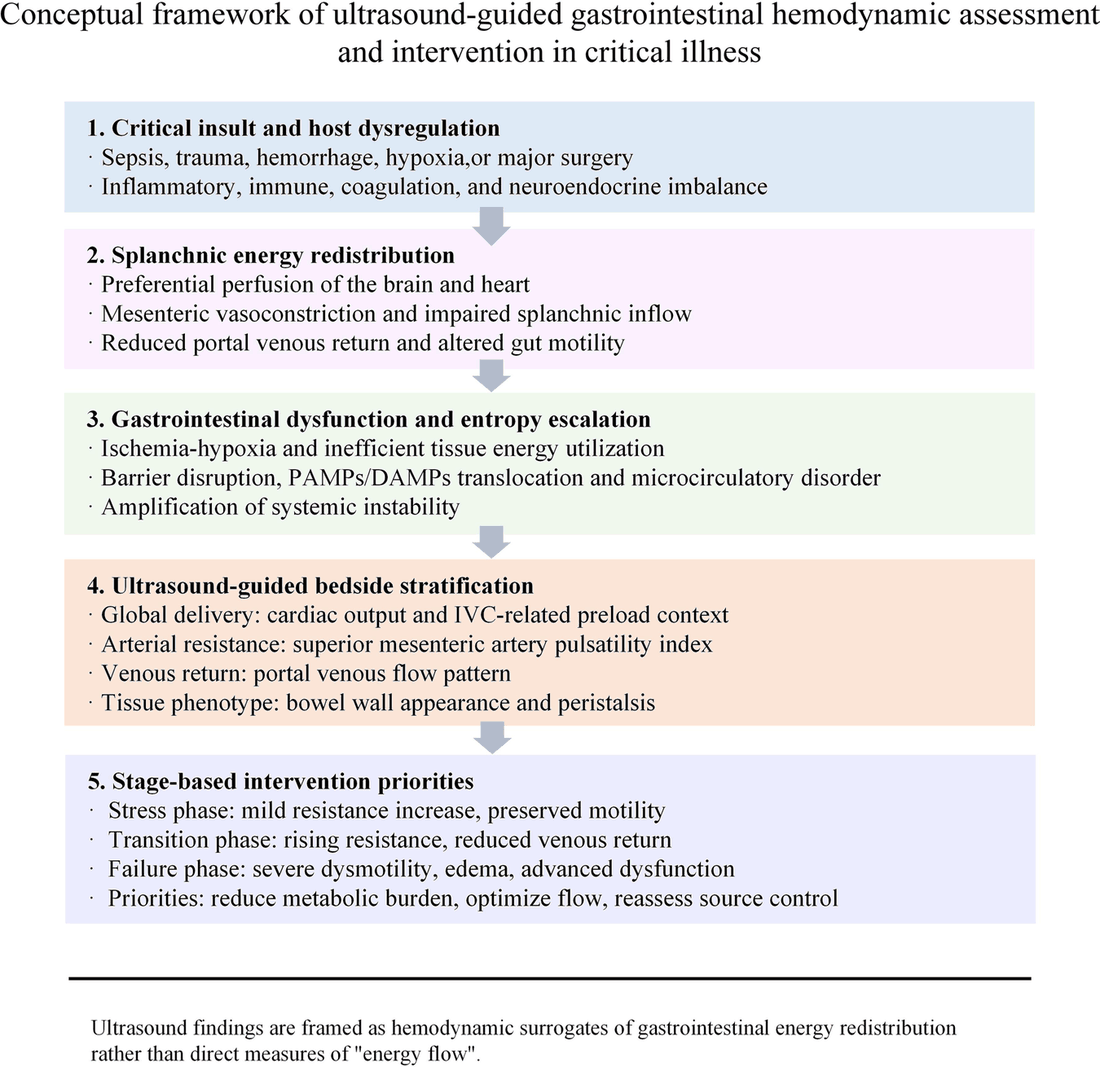 Figura 1: Framework conceitual de avaliação e intervenção hemodinâmica gastrointestinal guiada por ultrassom na crise crítica